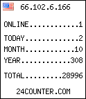web counter