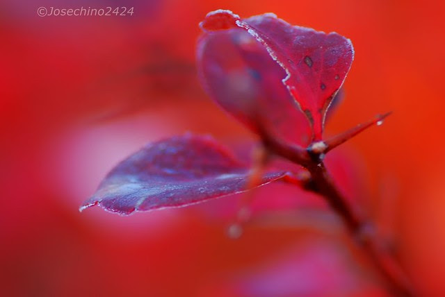 color y luz de una mañana de diciembre