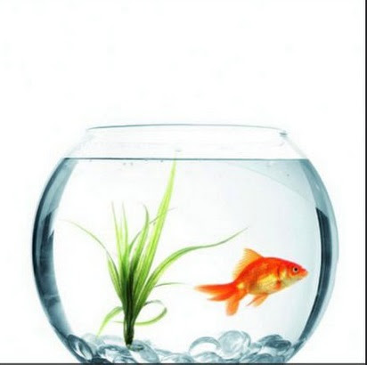 أعمال غريبة