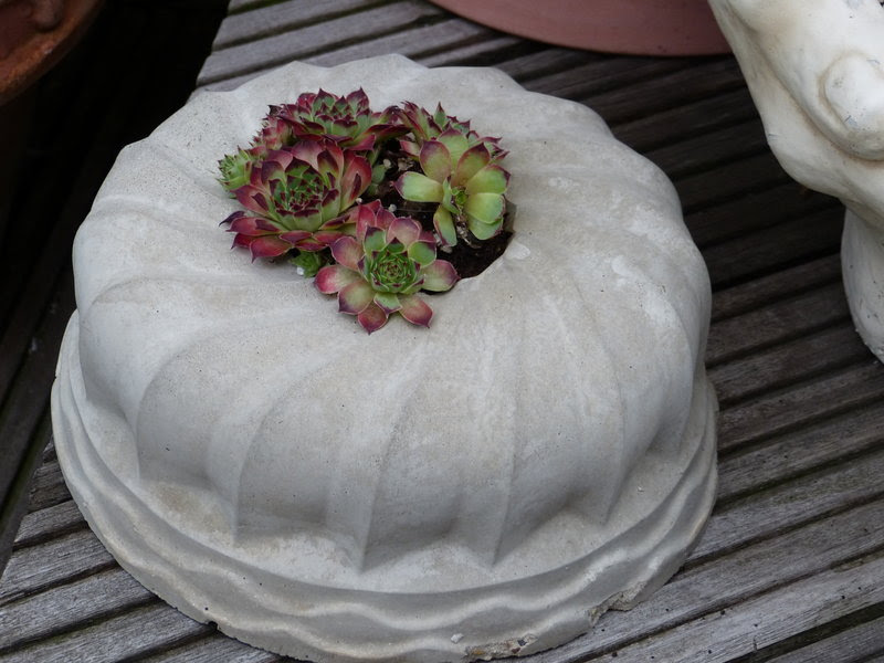 Gartendeko selbst gemacht - mit Beton giessen - Seite 5 ...