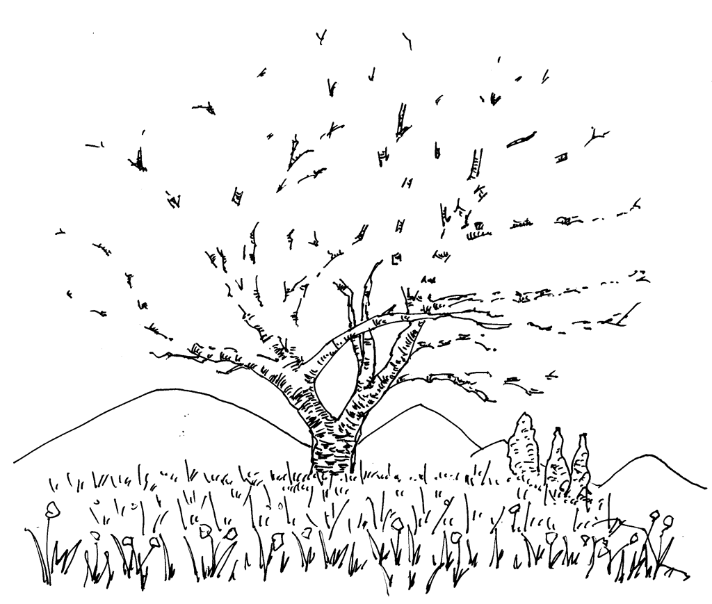 桜の木の描き方