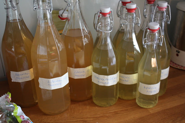 5 Liter Zitronenmelisse