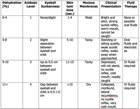 calf scours causes signs prevention and management drovers