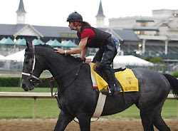 general quarters horse