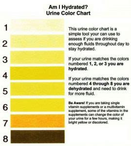  urine chart null chiropractic