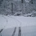 DSC01743