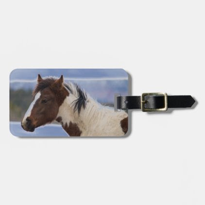 Tri-Colored Horse Luggage Tag