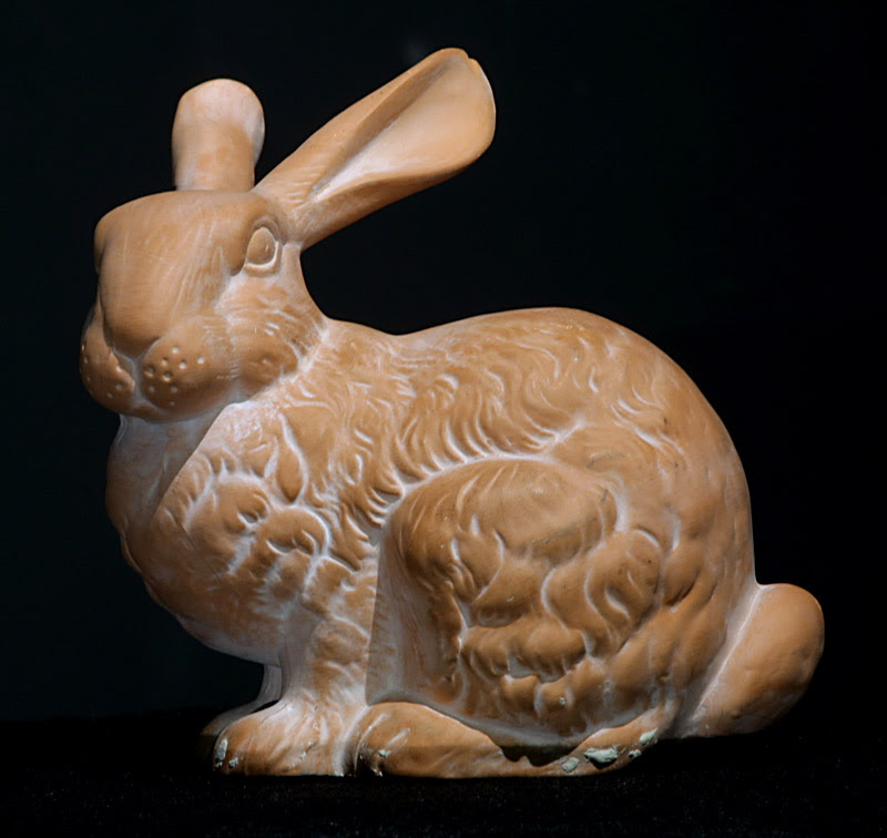 Mini Lop Bunny Mini Lop Bunny
