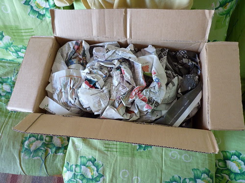 P1000342_resize