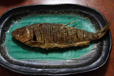 コノシロの唐揚げ 三河湾徘徊記