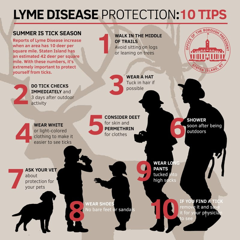 Protect Yourself And Your Family From Lyme Disease