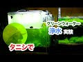 [コンプリート！] タニシ 水質 浄化 164361-タニシ 水質 浄化