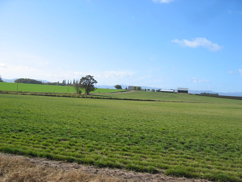 Just south of Frogger Junction*