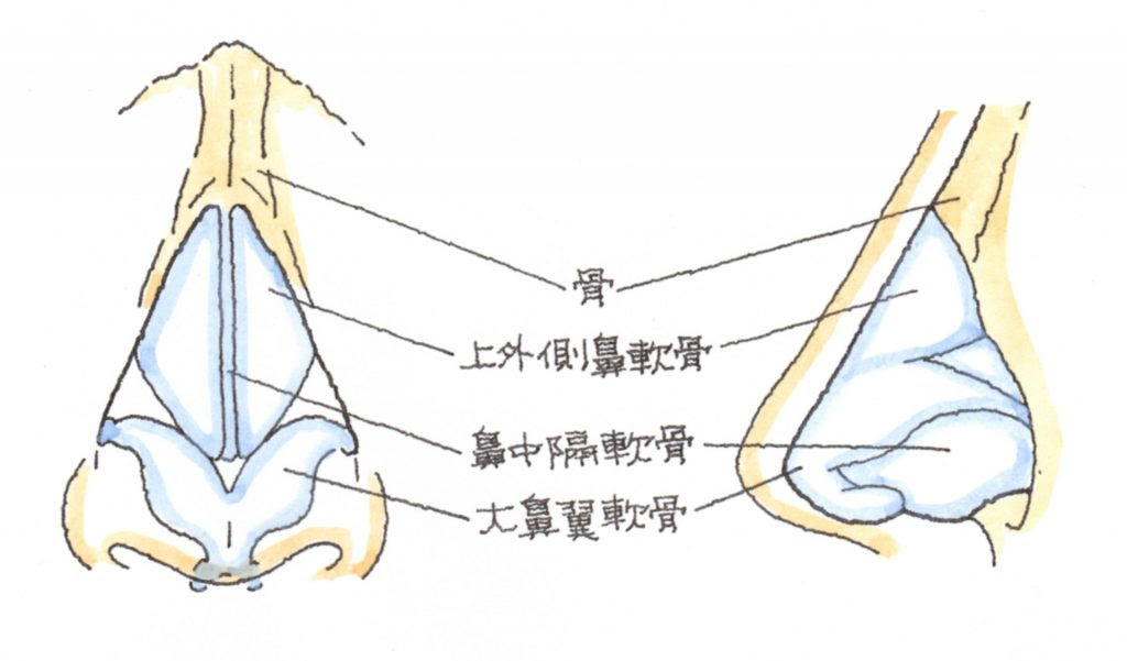 鼻骨々折 びこつこっせつ 弁護士による交通事故相談 弁護士法人前島綜合法律事務所