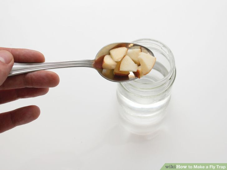 Make a Fly Trap Step 23 Version 3.jpg