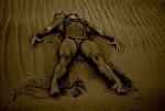 imagebam.com