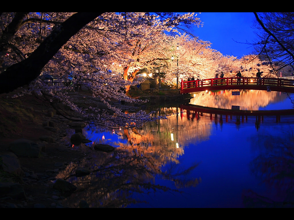 夕暮れの紺色の空と夜桜