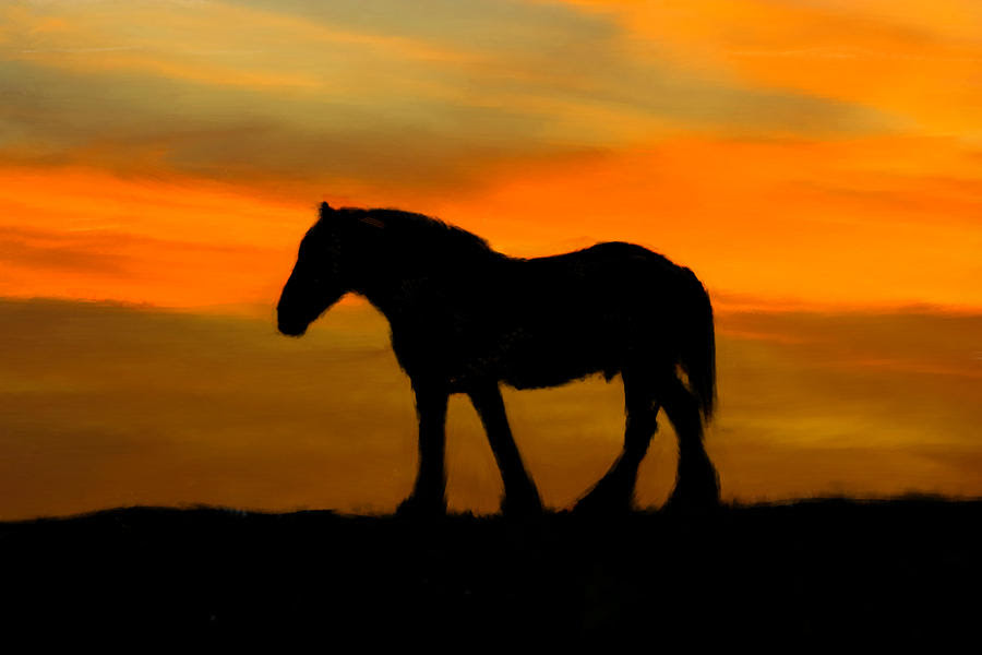 Horse Sunset Painting