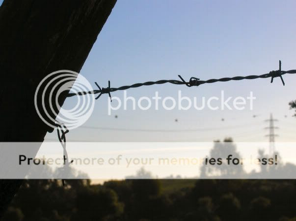 QUEREMOS EL MONTE LIBRE DE ALAMBRADAS, RADARES Y HORMIGON