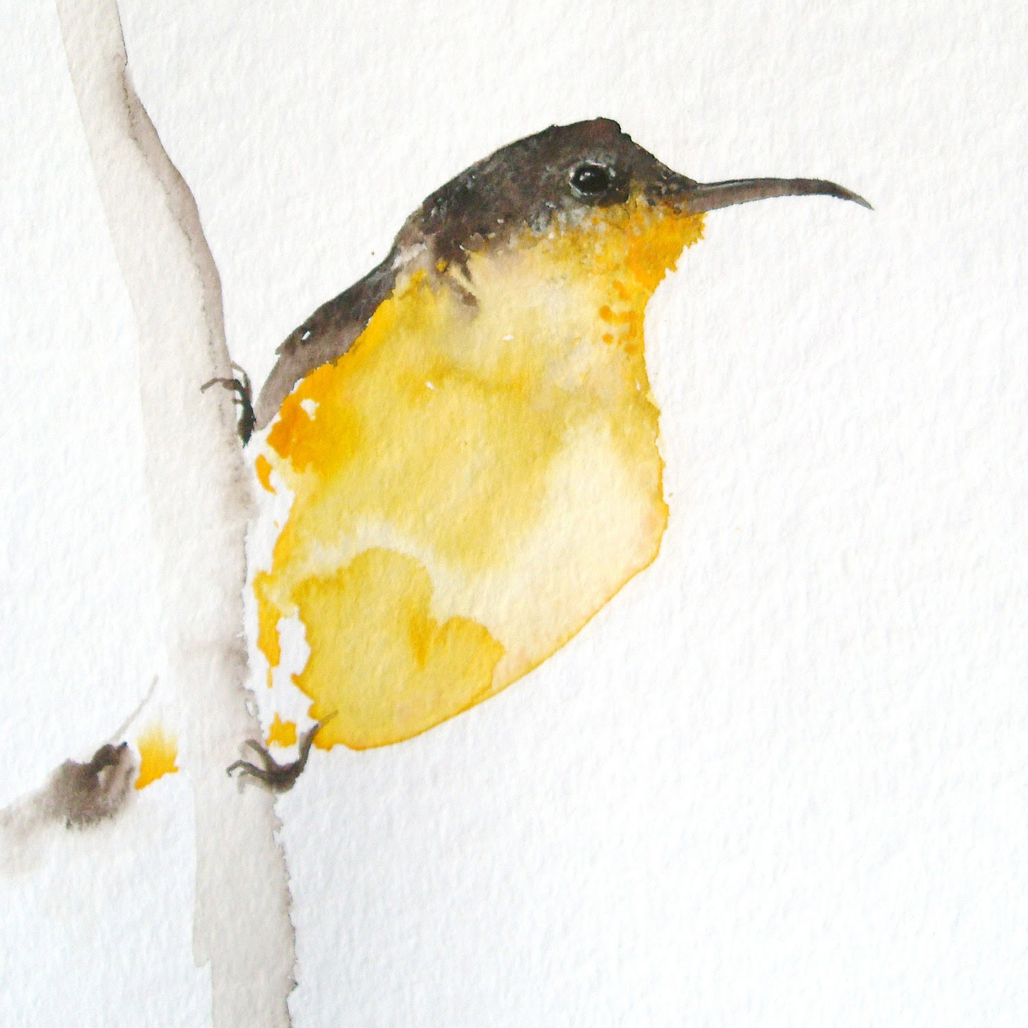 Yellow and Brown Bird on a Branch - Original Watercolor Painting