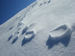 Follow me to the snow base