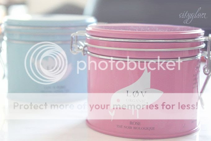 http://i402.photobucket.com/albums/pp103/Sushiina/rosa1.jpg