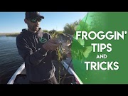 Trends Tips and Tricks Bass most popullar!