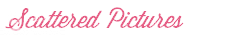 Scattered Pictures