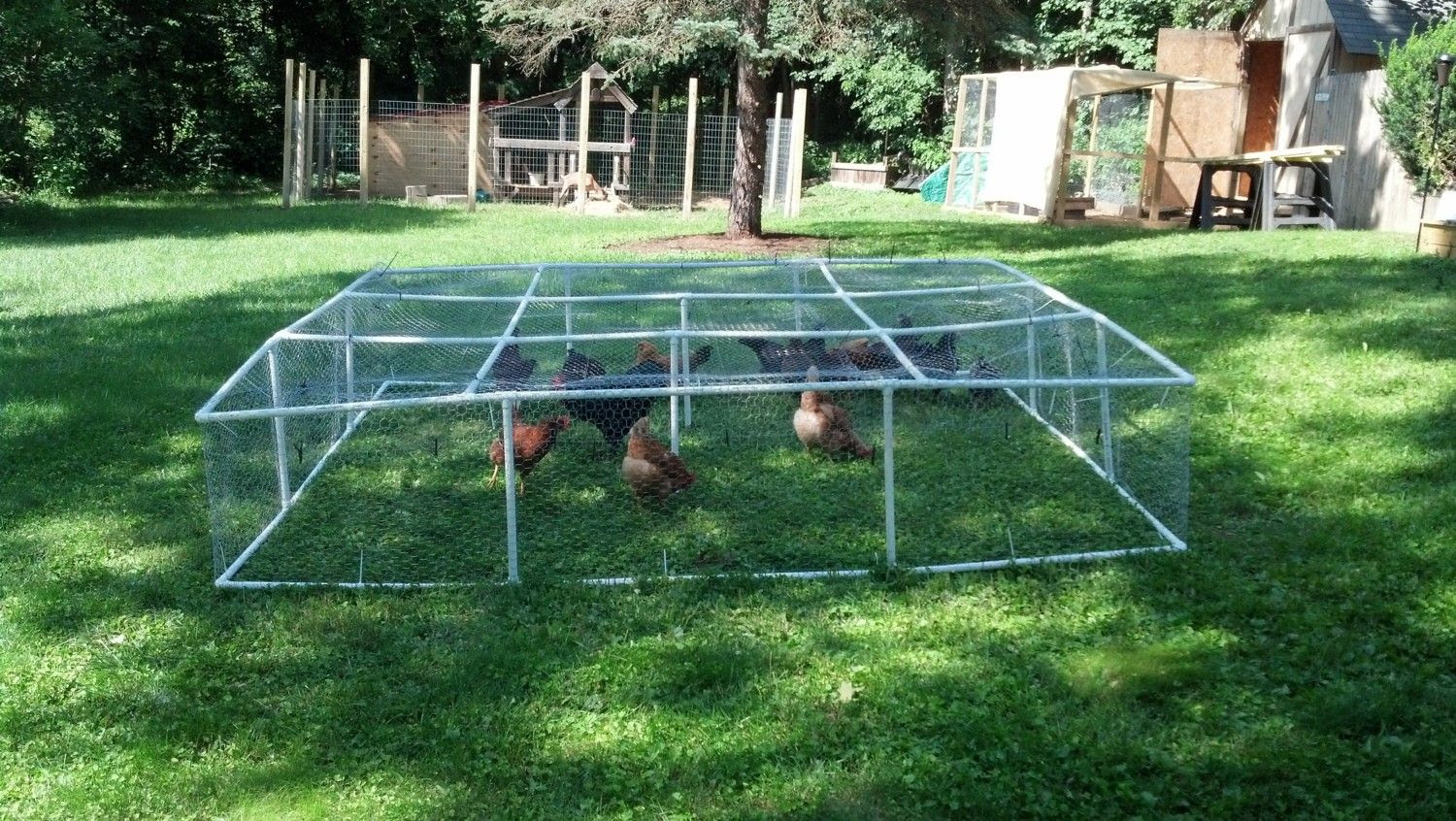 PVC Mobile Chicken Run