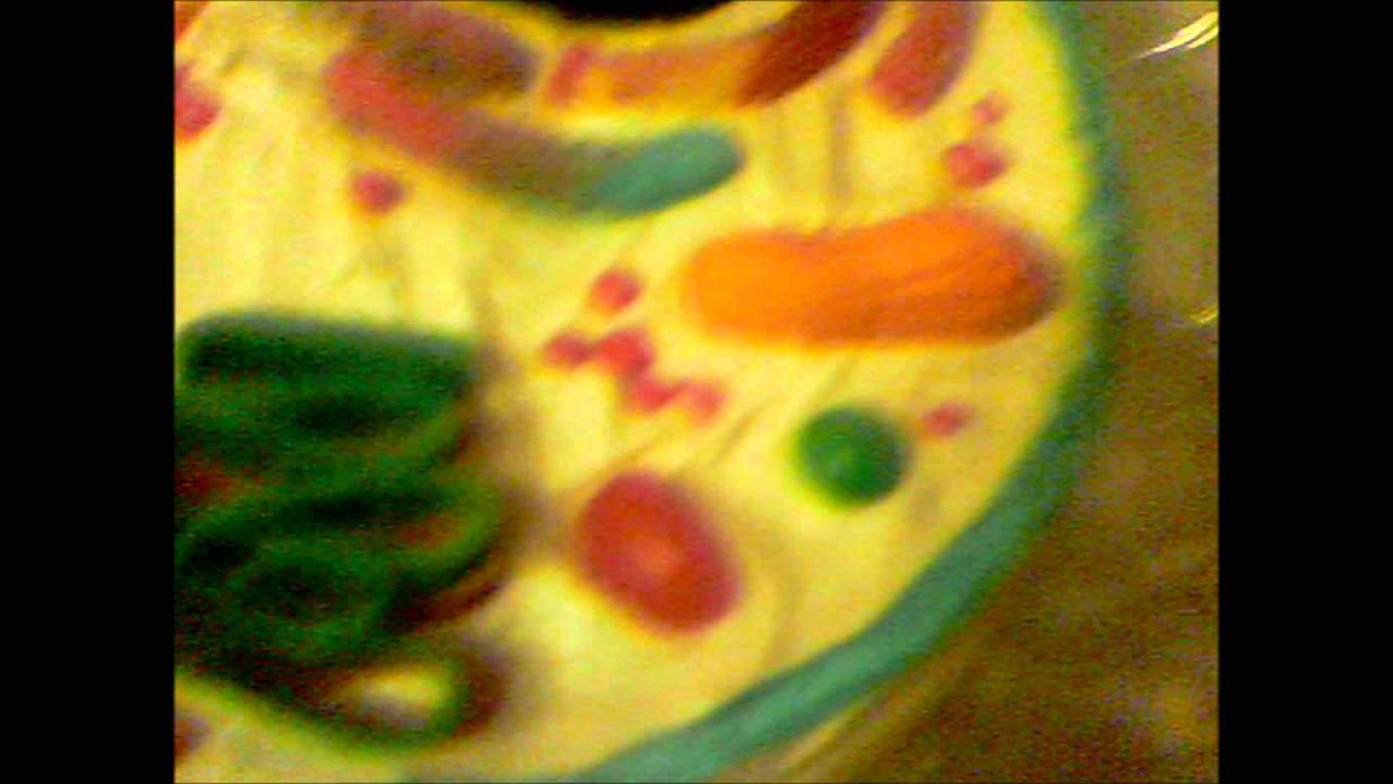 My edible animal cell - YouTube