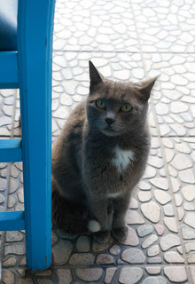 Kos, Greece-136.jpg