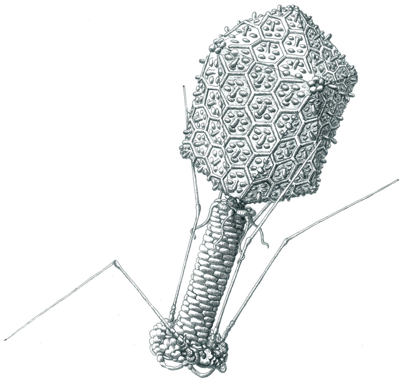image from http://s3.amazonaws.com/hires.aviary.com/k/mr6i2hifk4wxt1dp/15012619/e8aaf595-66a6-4d60-b5ff-293db6ae637a.png