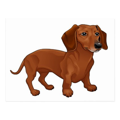 Dachshund Puppy Dog - Hello, Thinking of You, Love Postcard