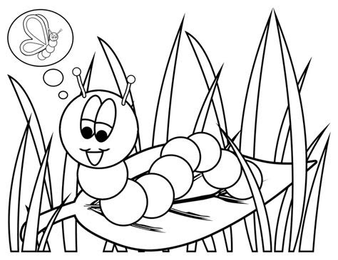 printable caterpillar coloring pages  kids