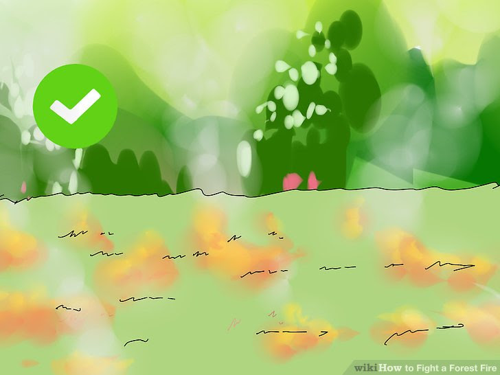 Fight a Forest Fire Step 6 Version 2.jpg