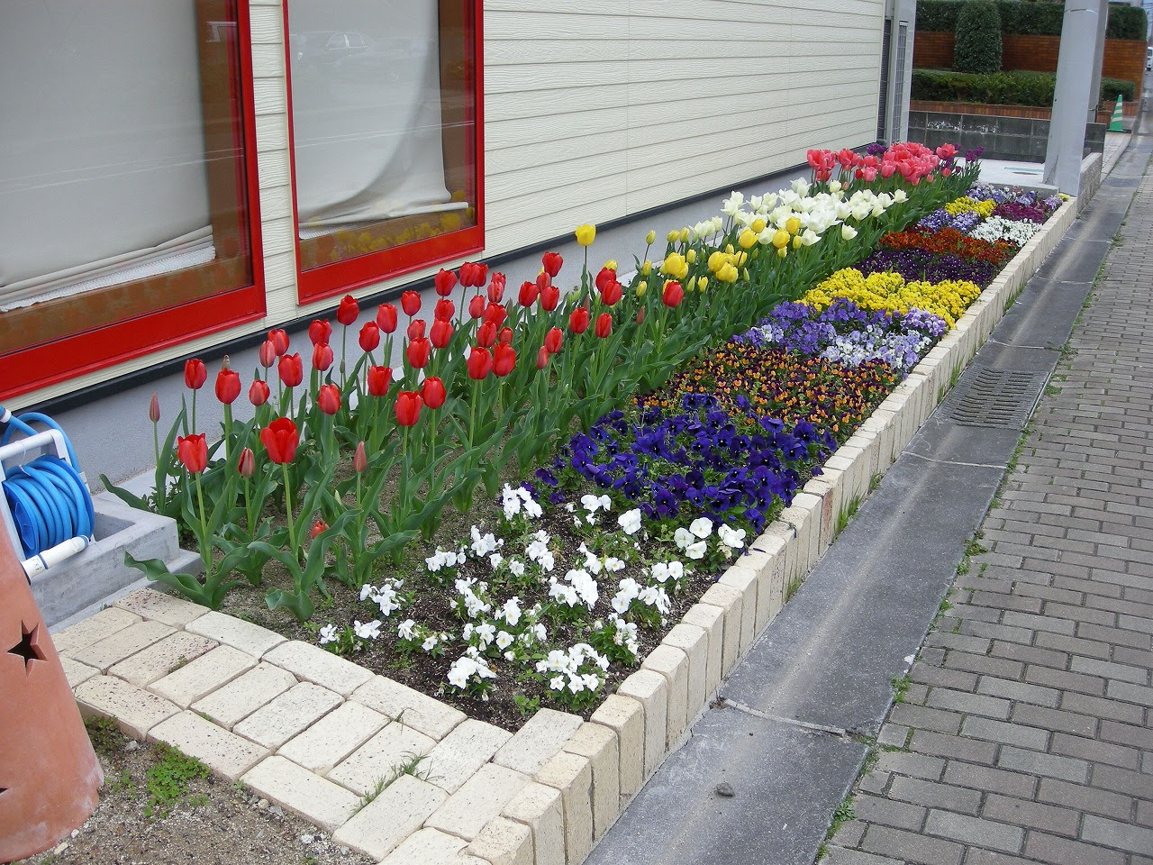 春の花壇をつくろう 自然浴生活 してますか