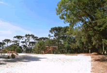 Bosque São Nicolau