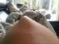 [Je voulais le plus] pied bebe femme enceinte 329089-Femme enceinte pied bebe