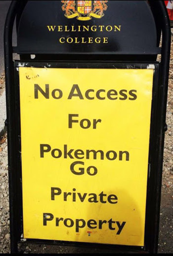 nhieu-truong-tren-the-gioi-cam-pokemon