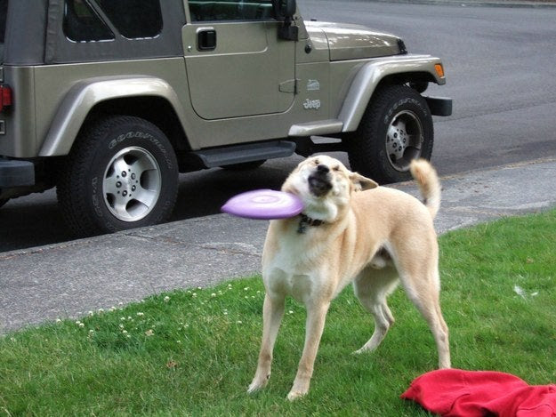 When someone yells, "Catch!":