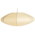 Organic Pendant Lights / Maybe you would like to learn more about one of these?