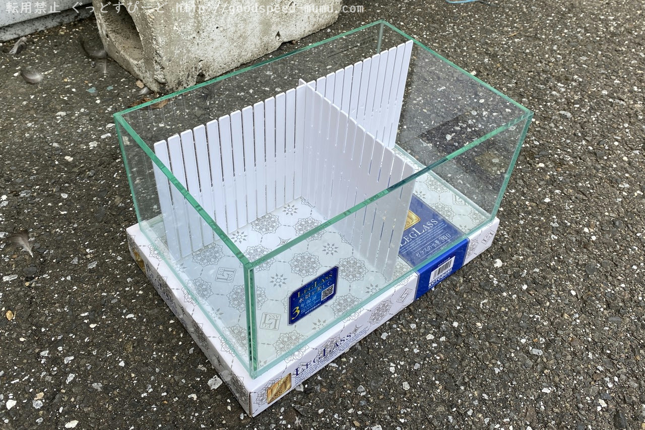 コトブキ工芸のガラスの水景という水槽を購入してベタを2匹飼に ぐっどすぴーど