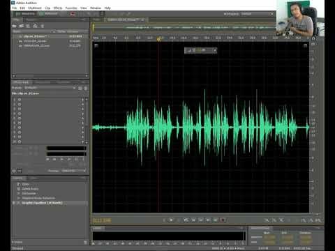 Tutorial Adobe Audition Noise Reduction, De Hummer, EQ Audio Podcast