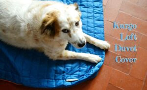 duvet-title