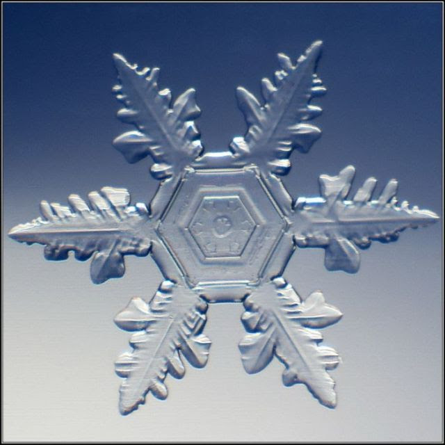 Unique and Beautiful Snowflakes (49 pics)