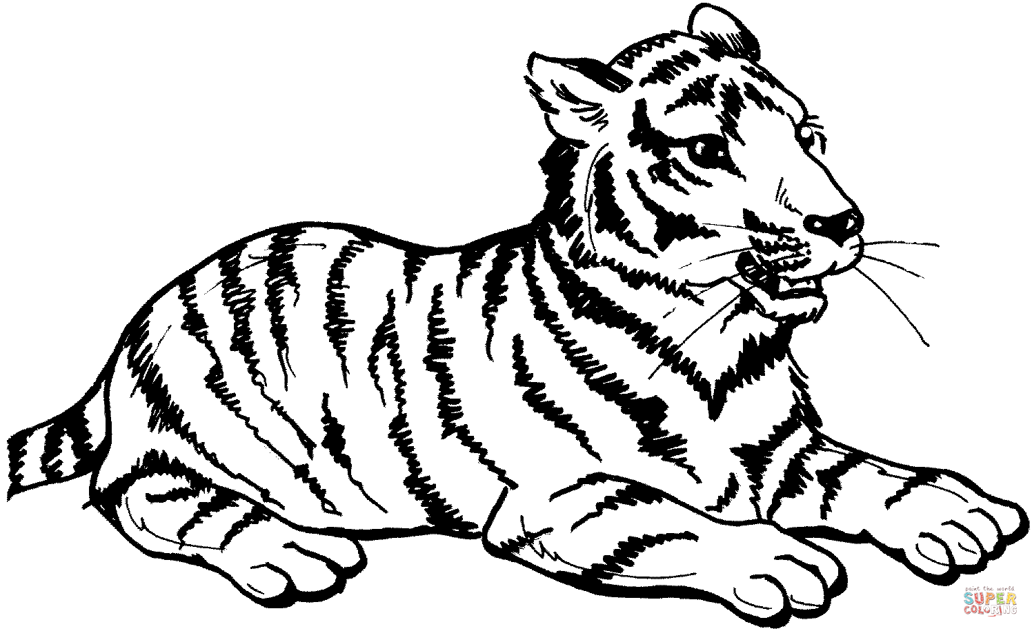 Clicca su disegni da colorare di Tigre