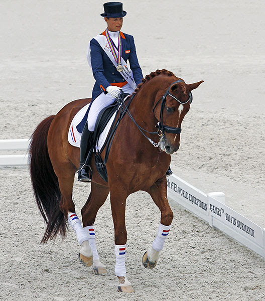 Parzival ridden out of the 2014 World Games after the pair's last championship competition for the Netherlands. © Ken Braddick/dressage-news.com 