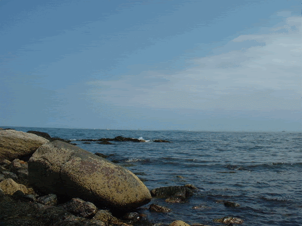 animated facepalm gif. Animated Background