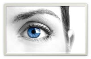 eye care boulder