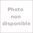 Sécateur électrique professionnel